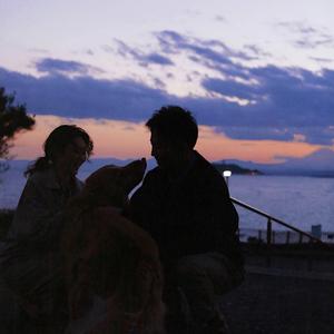 中文字幕资源站
