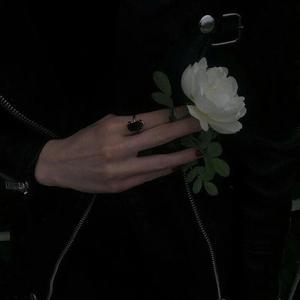 中文字幕资源站
