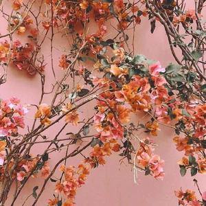 中文字幕资源站
